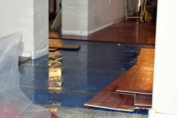 Professional Water Damage technician working in Mexia, TX