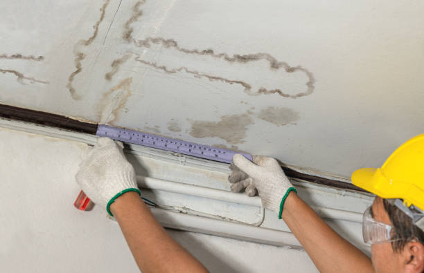 Reliable Water Damage contractor in Mexia, TX by Water Damage Irwin